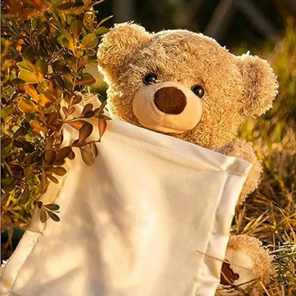 Peek-A-Boo Teddy Bear with Voice Activation & Music